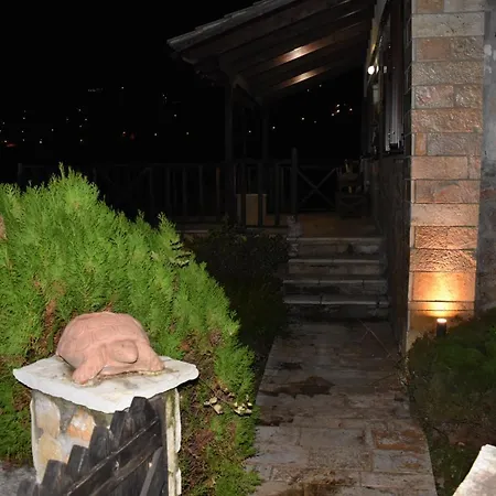 别墅 Trikala's Panoramic View 塞尼梅西奇卡罗