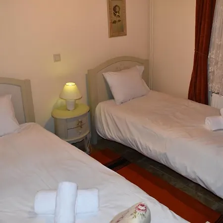 Villa Trikala's Panoramic View *